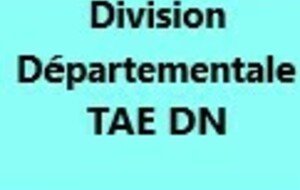 Division Départementale TAE DN