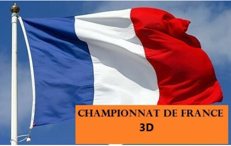 Championnat de France 3D